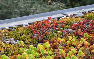 the cost of Marten green roof installation