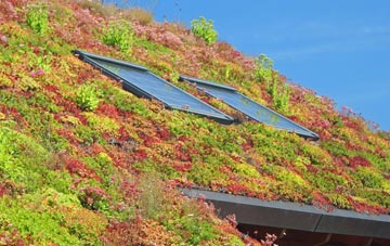 Marten living roof systems