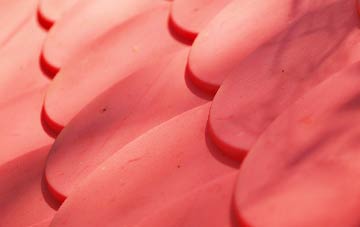 Marten plastic roof costs