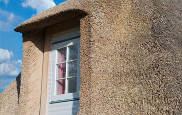 Marten thatch roof disadvantages
