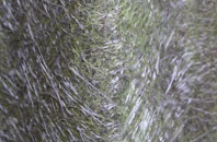 Marten fibreglass roof work