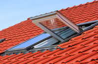 Marten roof window